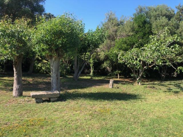 Вилла Civico34 House 3 - I Giardini Dell'Ancora Стинтино Экстерьер фото